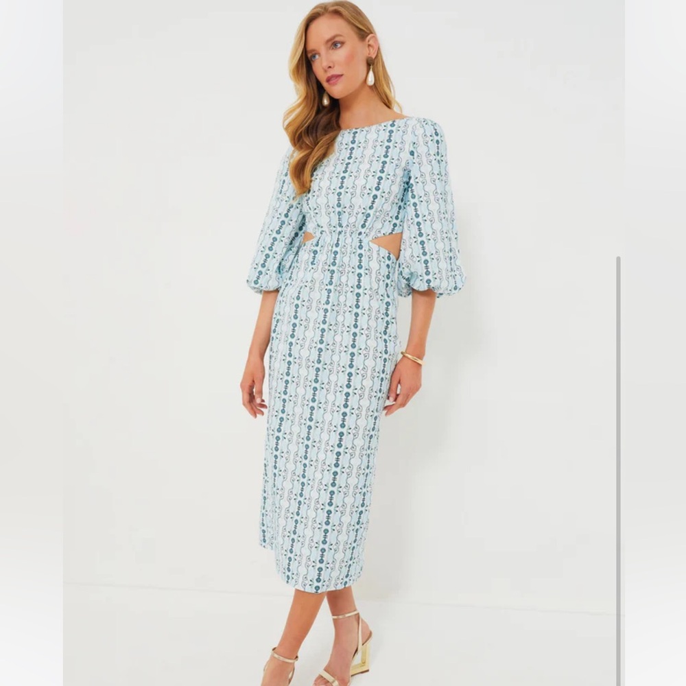 Tuckernuck Blue Midi dress